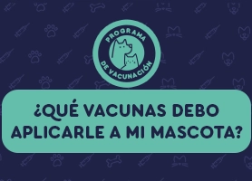 Protege a tu mascota