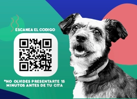 Agenda la cita de tu mascota
