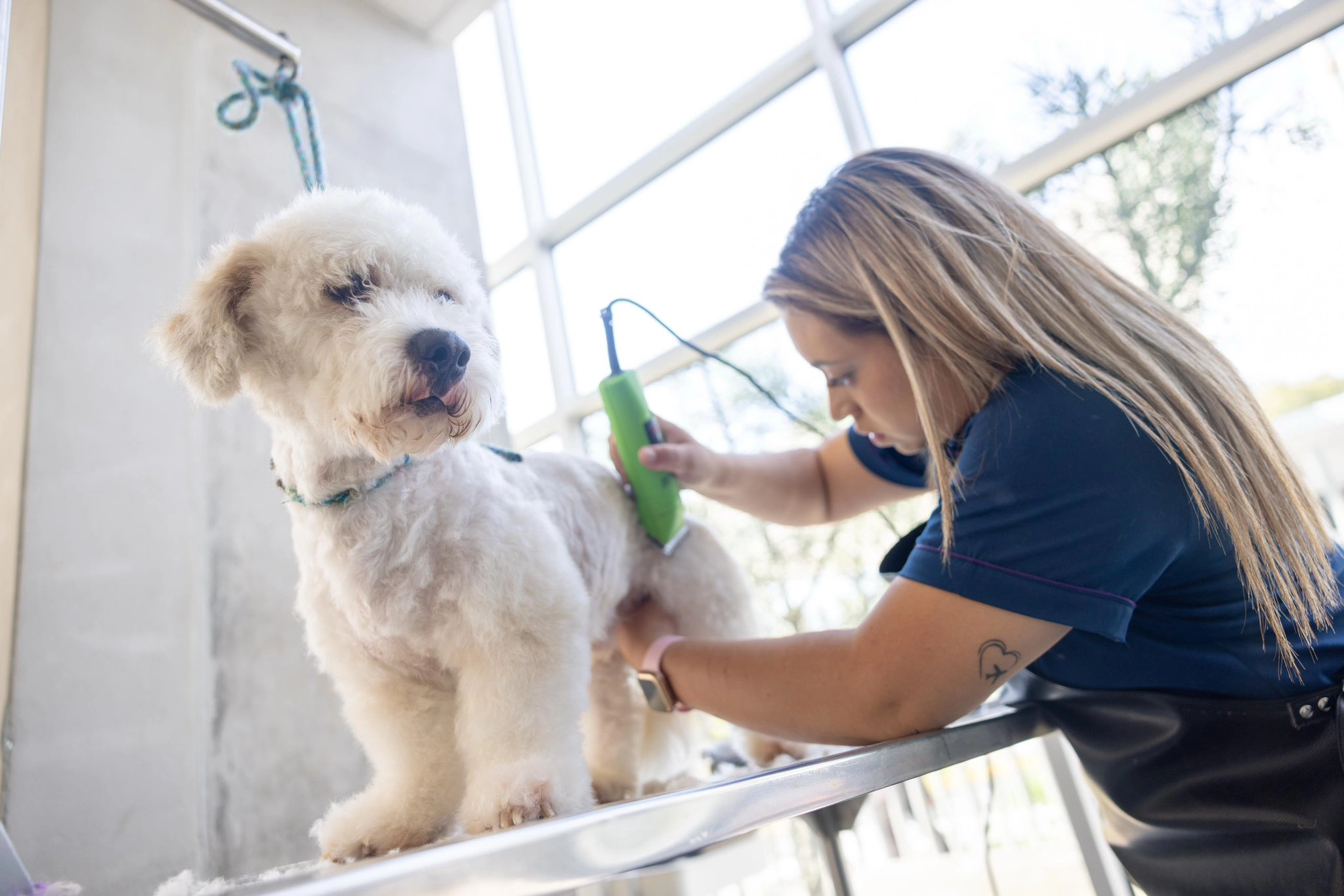 Peluqueria