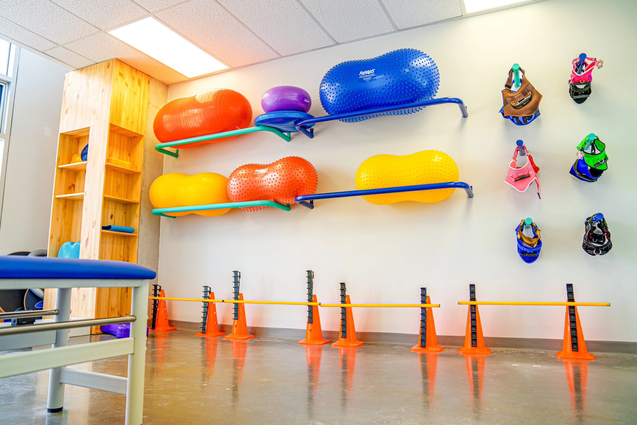 Rehabilitacion